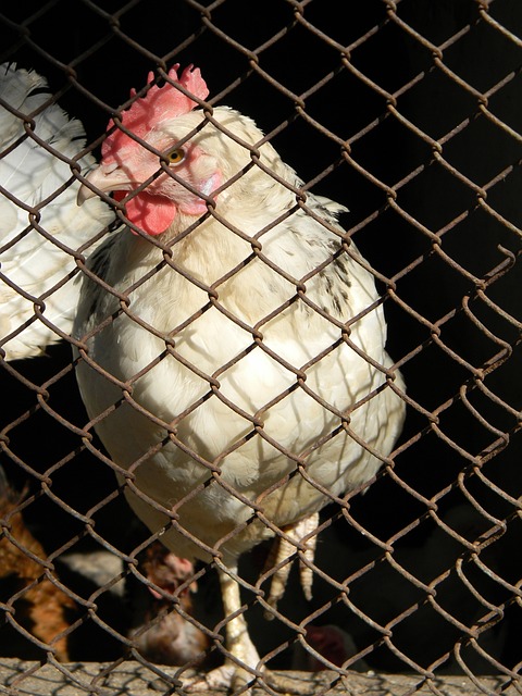 时间和机会 时间和机会