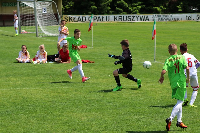 素及其对两 素及其对两