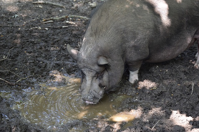 而对于球迷 而对于球迷