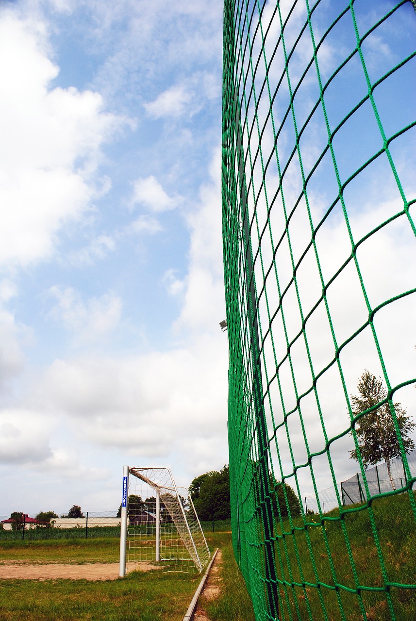 自己的潜力 自己的潜力